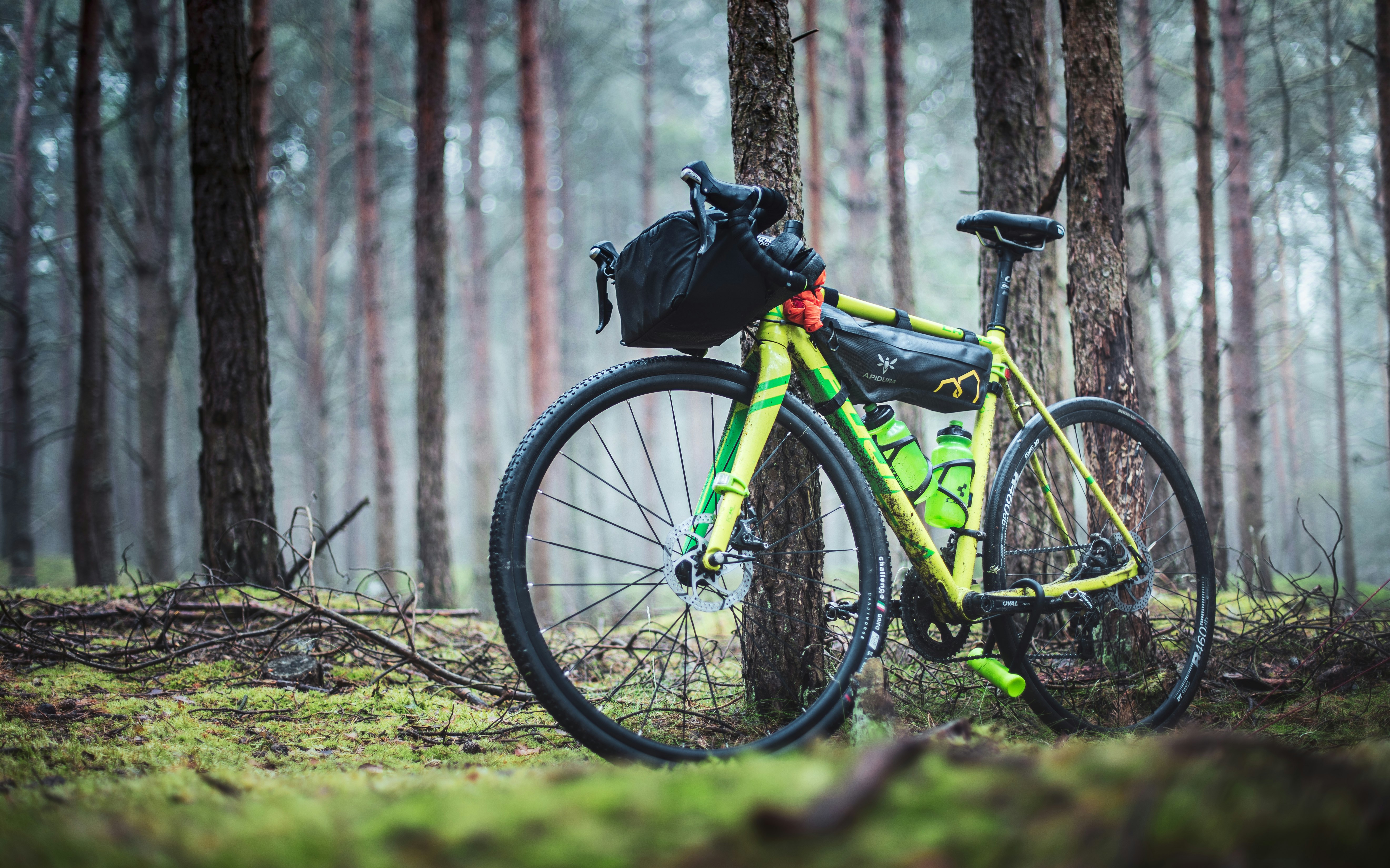 green and black mountain bike